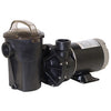 Hayward 18" S-180T W/1.5 hp LX Sand System